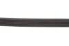 Ремінь генератора Citroen Berlingo/Peugeot Partner 1.9D 98-06 Gates 6PK1678 (фото 4)