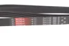 Ремінь генератора Citroen Berlingo 1.6HDI GATES Gates 6PK1708 (фото 4)
