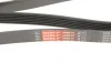 Ремінь генератора Renault Trafic 1.9dCi 01-/Opel Vivaro A 1.9DTI 01-14 GATES Gates 6PK1830XS (фото 5)