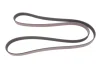 Ремінь генератора Audi A4/A6 2.4 97-05/Jeep Cherokee 2.5 86-90 GATES Gates 6PK1855 (фото 1)