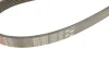 Ремінь генератора MB C-class (W202) 2.0 95-01 GATES Gates 6PK1863 (фото 5)