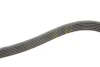 Ремінь генератора Infiniti FX/M45/Lexus GS/Mitsubishi Outlander 1.8-4.5 93- GATES Gates 6PK1938 (фото 3)