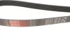 Ремінь генератора Audi A4/A5/A6 3.0 TDI/3.2 FSI 05-/MB E-class (W124/S124) 2.8-3.0T 93-96 M104/M103 GATES Gates 6PK2413 (фото 3)