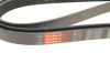 Ремінь генератора Mitsubishi Lancer 1.8 08-/Outlander 2.0-2.4 06- GATES Gates 6PK2563 (фото 5)