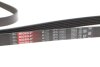 Фото 4 - ремінь генератора Audi A6 S6/RS6 quattro 99-05/A8 3.7/4.2/S8 quattro 94-02 Gates 6PK2680 Ремінь генератора Audi A6 S6/RS6 quattro 99-05/A8 3.7/4.2/S8 quattro 94-02 Gates 6PK2680 (фото 4)