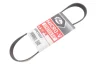 Ремінь генератора Land Rover Discovery/Range Rover 5.0 09- Gates 6PK718SF (фото 2)
