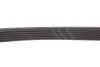 Ремінь генератора Land Rover Discovery/Range Rover 5.0 09- Gates 6PK718SF (фото 4)