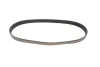 Ремінь генератора Citroen Berlingo/Peugeot Partner 1.6HDI/ Ford Fiesta/Focus 1.4-1.6 TDCi 01- GATES Gates 6PK803 (фото 5)