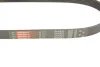 Ремінь генератора VW T4/Caddy 1.9TDI GATES Gates 6PK923 (фото 3)