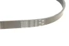 Ремінь генератора Mazda CX 5 GATES Gates 6PK963 (фото 5)