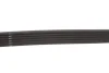 Ремінь генератора Ford Transit/Citroen Berlingo/Peugeot 308 1.6D 13- GATES Gates 6PK965 (фото 3)