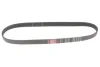 Ремінь генератора Ford Transit/Citroen Berlingo/Peugeot 308 1.6D 13- GATES Gates 6PK965 (фото 4)