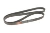 Ремень генератора BMW 3 (E90-E93)/5 (E60) 3.0 06-11 N54/N55 Gates 7PK1855 (фото 4)