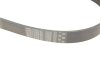 ПОЛИКЛИНОВЫЙ РЕМЕНЬ Gates 8PK1230HD (фото 4)