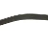 Ремінь генератора BMW X1 (F48)/X2 (F39) 20- B38 (8PK954) GATES Gates 8PK954EST (фото 3)