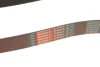 Ремінь генератора BMW X1 (F48)/X2 (F39) 20- B38 (8PK954) GATES Gates 8PK954EST (фото 4)
