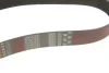 Ремінь генератора BMW X1 (F48)/X2 (F39) 20- B38 (8PK954) GATES Gates 8PK954EST (фото 5)