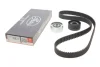 Комплект ГРМ Citroen Jumper/Peugeot Boxer 2.5D 94-02 GATES Gates K015420XS (фото 2)