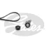 Комплект ременя генератора Renault Megane/Scenic 1.4/1.6 00-09 (5PK1750) Gates K015PK1750 (фото 1)