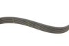 Фото 6 - комплект ременя генератора VW Caddy IV 2.0 TDI 15- (6PK1025) Gates K016PK1025 Комплект ременя генератора VW Caddy IV 2.0 TDI 15- (6PK1025) Gates K016PK1025 (фото 6)