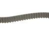 Комплект ГРМ Hyundai Tucson/Elantra/Kia Cee\'d 2.0 00- (25.5x113z) GATES Gates K025457XS (фото 3)