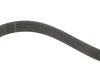 Комплект ременя генератора Audi A2/Seat Ibiza/Skoda Fabia/VW Golf/Polo 1.4/1.6/1.6FSI 97-15 (6PK1078) Gates K036PK1078 (фото 5)