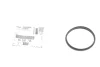 Прокладка натяжника ланцюга ГРМ (кільце) Chevrolet Aveo 1.2/1.4/Opel Astra J 1.4 09- GM 55592715 (фото 2)