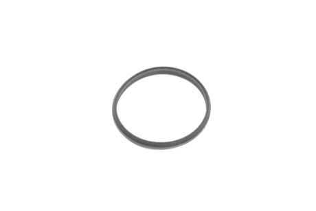 Прокладка натяжника ланцюга ГРМ (кільце) Chevrolet Aveo 1.2/1.4/Opel Astra J 1.4 09- GM 55592715