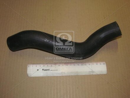 Патрубок радіатора Епіка GM 96930784