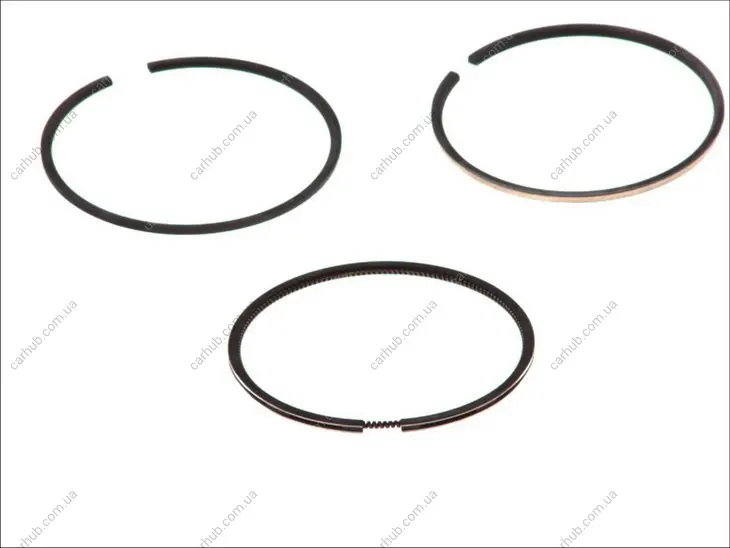 80 (STD) 2,5-2-231 Комплект поршньових кілець ARO CARPAT NISSAN INTERSTAR, PRIMASTAR RENAULT CLIO II, LAGUNA I, MEGANE I, MEGANE I CLASSIC, MEGANE I COACH, MEGANE SCÉNIC, SCENIC I 1.9D 03.97- GOETZE 08-101500-00 (фото 1)