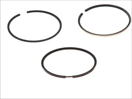 80 (STD) 2,5-2-231 Комплект поршньових кілець ARO CARPAT NISSAN INTERSTAR, PRIMASTAR RENAULT CLIO II, LAGUNA I, MEGANE I, MEGANE I CLASSIC, MEGANE I COACH, MEGANE SCÉNIC, SCENIC I 1.9D 03.97- GOETZE 08-101500-00