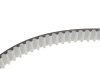 Комплект ГРМ + помпа Audi A3-A6/Skoda Octavia/VW Caddy/Golf/Passat 1.6-2.0TDI 12-(145x25)(PA1360A-8) GRAF KP1360-2 (фото 22)