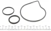 Помпа води Citroen C4/C5/C8/Jumpy/Fiat Scudo/Peugeot 206/307/406 1.8/2.0/2.2 99- (20z) (R/B) (6 лоп) GRAF PA1044 (фото 2)