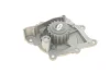 Помпа води Citroen C4-C8/Jumper/Peugeot 308/407/Ford Focus 2.0-2.2HDi/D/TDCi 06- (19z) (B/B)(8 лоп) GRAF PA1049 (фото 3)