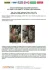Помпа води Audi/Seat/Skoda/VW Crafter/Caddy/T6/Passat/Golf 1.6/2.0TDI 13- (R/B 4PT)(7 лоп)(з датч) GRAF PA1360A-8 (фото 2)