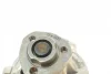 Помпа води Audi A4/A6/Skoda Felicia/VW Golf/Caddy/Passat/Polo 1.9D/TDI/SDI 95- (R/B)(6лоп) GRAF PA609 (фото 4)