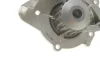 Помпа води Citroen C4-C8/Jumpy 2.0-2.2HDi/Fiat Scudo 2.0D/Ford Focus 2.0TDCI 01- (19z)(B/B)(8лоп) GRAF PA861 (фото 5)