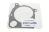 Помпа води Land Rover Freelander 2.0Td4 4x4 00-06/Rover 75 2.0CDT/CDTi 99-05 (R/B) (7 лоп) (6 кан.) GRAF PA883 (фото 6)