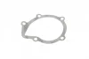 Помпа води Fiat Scudo/Ducato/Peugeot/Citroen/Hyundai 1.8-1.9D/TD 94-06 (20z)(B/B)(7 лоп)(d імп=71мм) GRAF PA911 (фото 8)