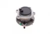 Підшипник маточини (задньої) Ford Focus 1.0-2.0 TDCi 10-(D=136/M12x1.5)(+ABS) GSP 9400334K (фото 6)