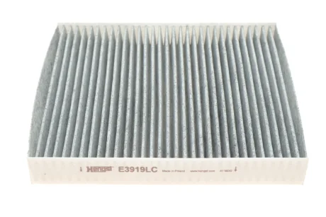 Фільтр салону Skoda Fabia/Roomster/VW Polo 99-10 (вугільний) HENGST FILTER E3919LC