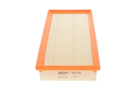 Фільтр повітряний Citroen C5 2.0-2.2HDi 04-/Peugeot 407/508 2.0-2.2HDi 04-18 HENGST FILTER E615L