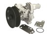 Помпа води Ford Transit 2.4DI 00- HEPU P248 (фото 1)