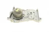 Помпа води Renault Kangoo 01-/Logan 04-/Megane 99-/Dokker 12- 1.6/16V (20z) HEPU P842 (фото 6)