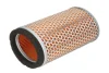 Фільтр повітря - фільтр повітряний TRIUMPH BONNEVILLE, SCRAMBLER, THRUXTON 800/865/900 2001-2017 HIFLO HFA6504 (фото 1)