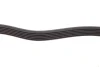 Ремінь генератора MB OM601/602 (6PK1000) HUTCHINSON 1000 K 6 (фото 3)