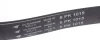 Ремінь генератора Ford Escort 1.4/MB OM601/602 -96 (6PK1015) HUTCHINSON 1015 K 6 (фото 3)