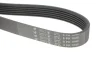 Ремінь генератора VW Caddy/Golf/Passat/T4 1.9 D/TD 96- (6PK1042) HUTCHINSON 1042 K 6 (фото 2)