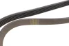 Ремінь генератора Renault Kangoo 1.4i 98-/ 1.6i 02- (5PK1110) HUTCHINSON 1110 K 5 (фото 3)