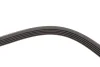 Ремінь генератора Renault Kangoo 1.4i 98-/ 1.6i 02- (5PK1110) HUTCHINSON 1110 K 5 (фото 4)